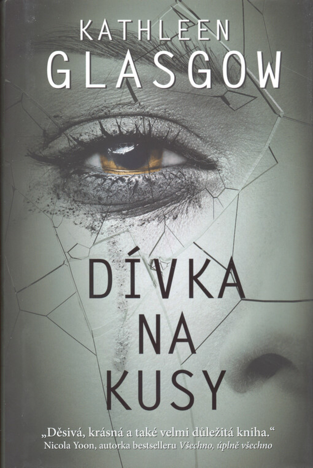 Dívka na kusy